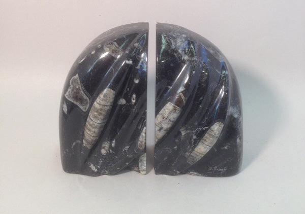 Polished Orthoceras Bookends - Michael's Gems and Glass