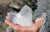 Quartz Crystal: Everything You Need to Know