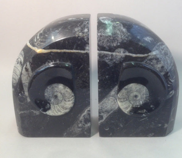 Polished Orthoceras Bookends - Michael's Gems and Glass