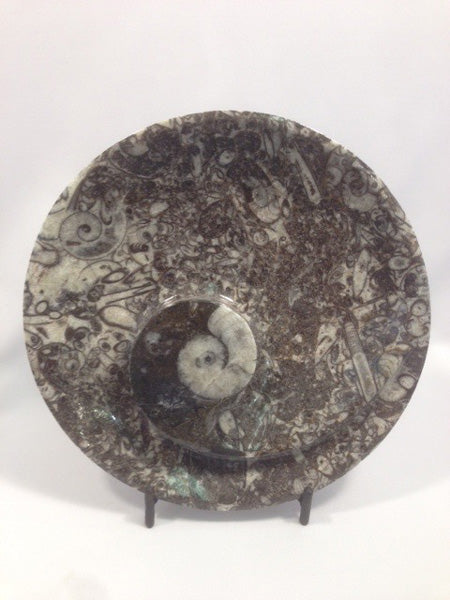 Large Orthoceras Fossil Dish - Michael's Gems and Glass