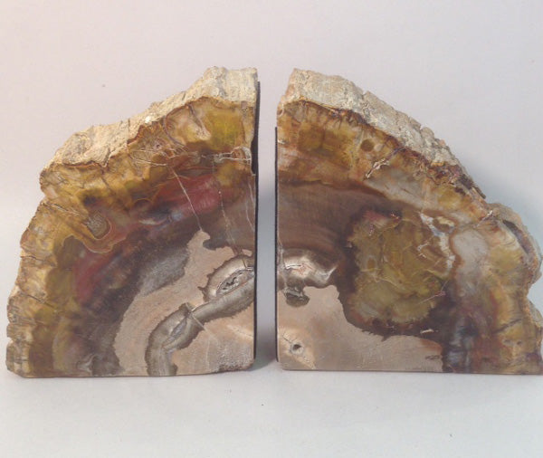 Petrified Wood Bookends - Michael's Gems and Glass
